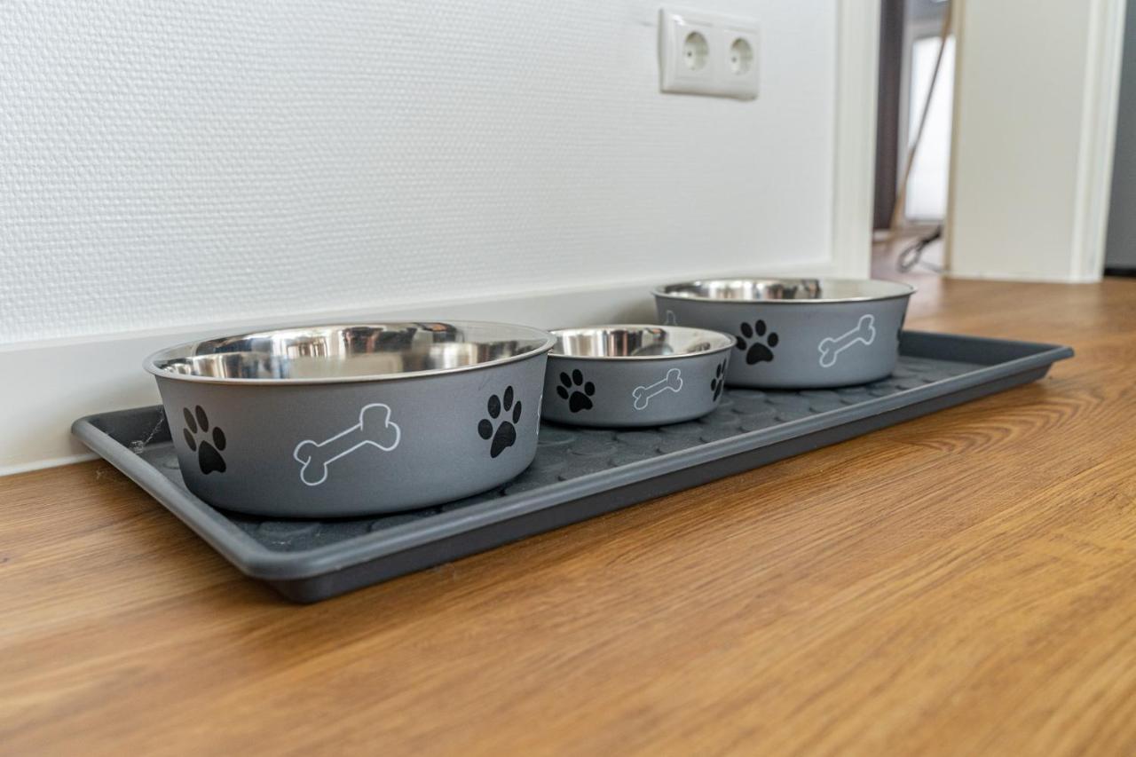Appartement Nr 7 Im Sonnenbad ザスニッツ エクステリア 写真